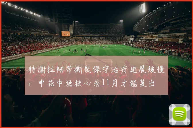 特谢拉韧带撕裂保守治疗进展缓慢，申花中场核心或11月才能复出